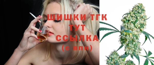стаф Арсеньев