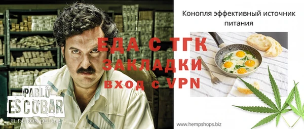 стаф Арсеньев