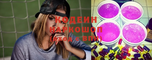 стаф Арсеньев