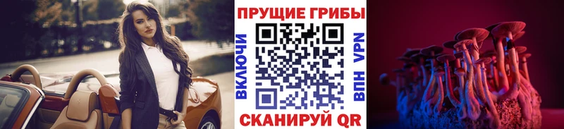 OMG онион  Ялта  Псилоцибиновые грибы Psilocybine cubensis 